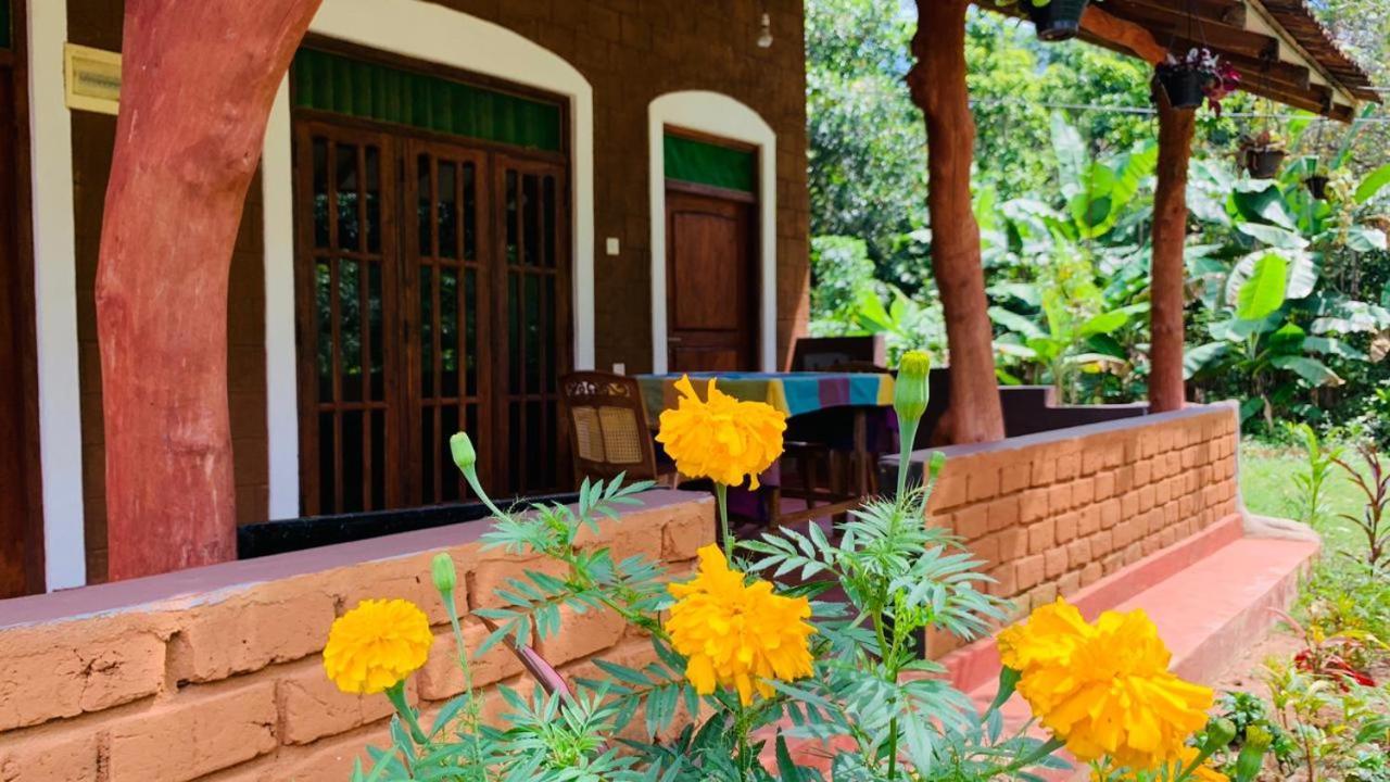 Sigiriya Chena Villa Dış mekan fotoğraf